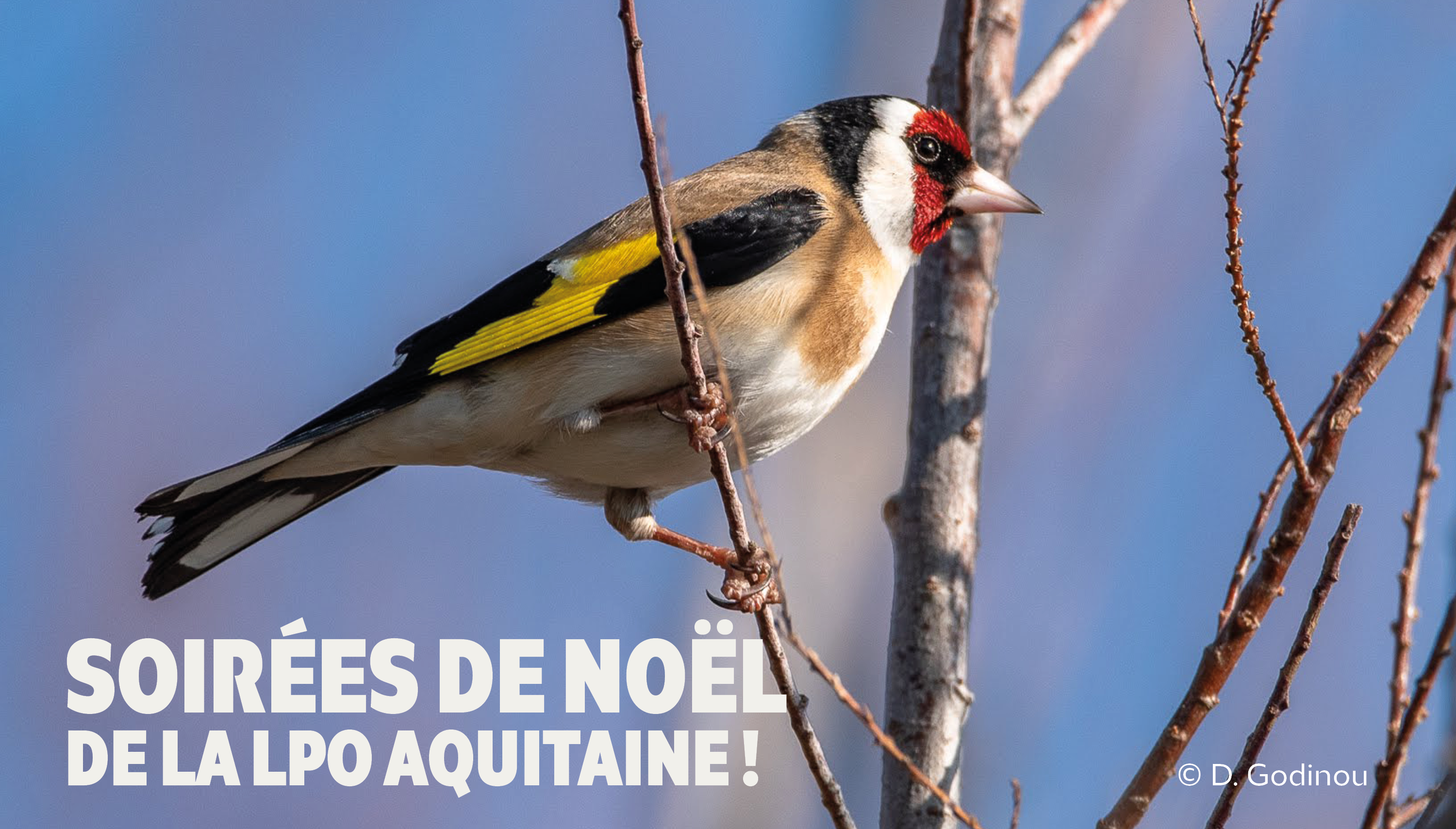 Vos soirées de Noël en Aquitaine !